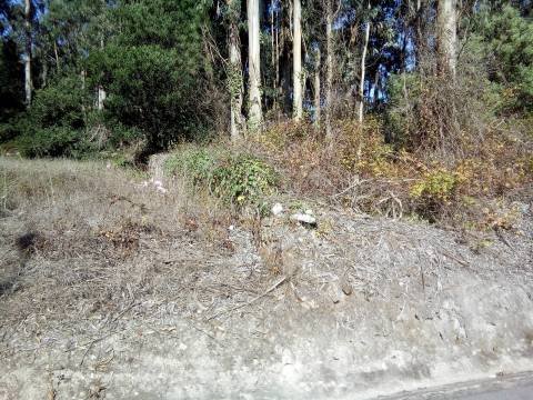 Terreno rústico em Laúndos, Póvoa de Varzim