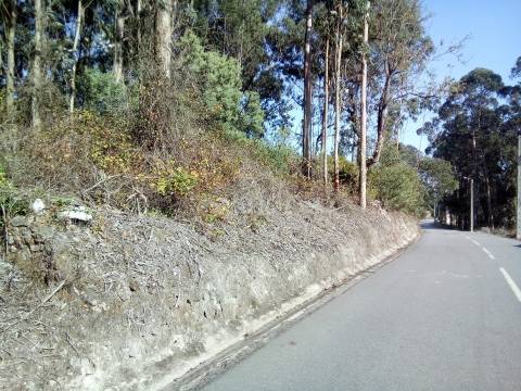 Terreno rústico em Laúndos, Póvoa de Varzim