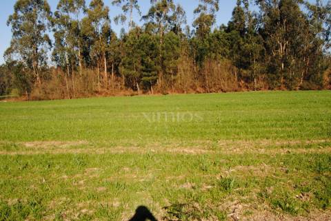 Terreno com viabilidade para construção, em Macieira da Maia