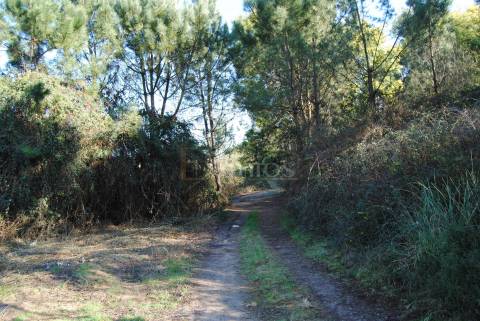 Terreno com viabilidade para construção, em Macieira da Maia