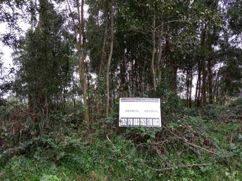 Terreno em Aveleda
