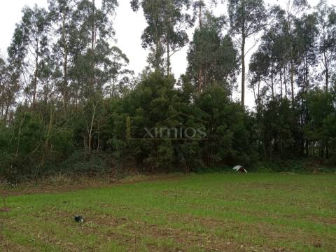 Terreno em Aveleda