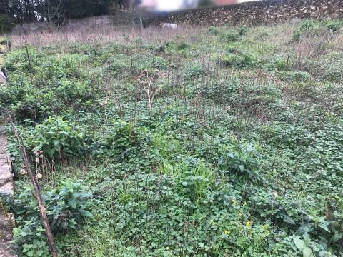 Terreno para construção em Beiriz