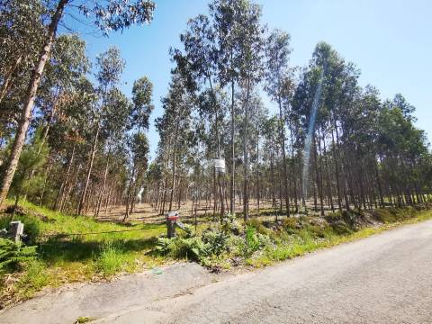 Terreno rústico em Rates