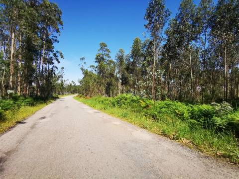 Terreno rústico em Rates