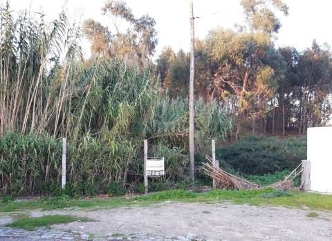 Terreno, para venda, em Argivai