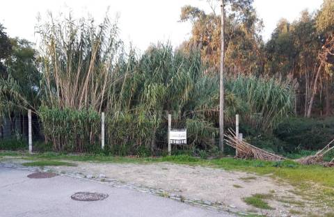 Terreno, para venda, em Argivai