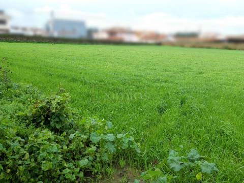 Terreno em Touguinha