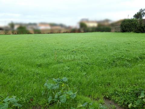 Terreno em Touguinha