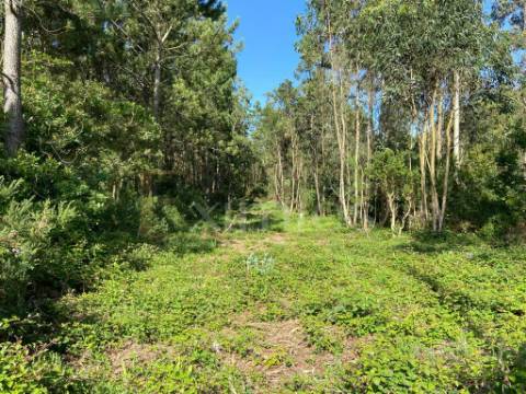Venda de Terreno em Labruge, a 800 m da praia