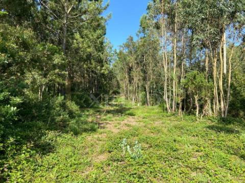 Venda de Terreno em Labruge, a 800 m da praia