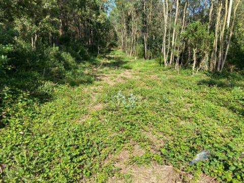 Venda de Terreno em Labruge, a 800 m da praia