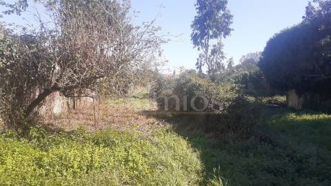 Terreno com uma área de 2880 m2, em Argivai