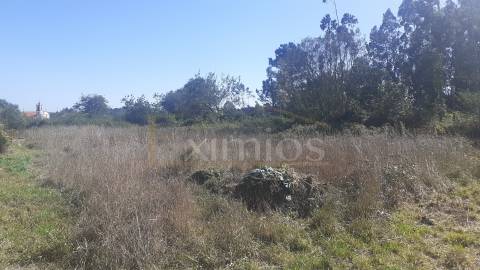 Terreno com uma área de 2880 m2, em Argivai