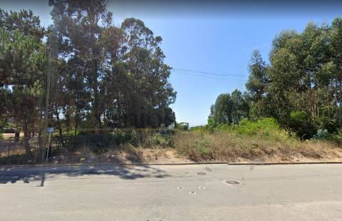 Lote de terreno para construção, em Areia - Árvore