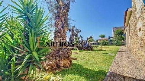 Venda de quintinha V4, com terraço, em Balasar, Póvoa de Varzim