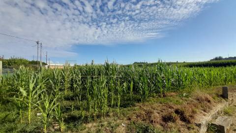 Terreno para construção, em Gemunde, Castêlo da Maia