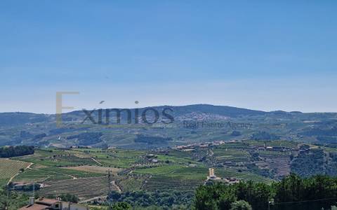 Moradia V3, com vista sobre rio Douro e garagem, em Sabrosa