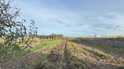 Moradia para restauro, em Aguçadoura, Póvoa de Varzim