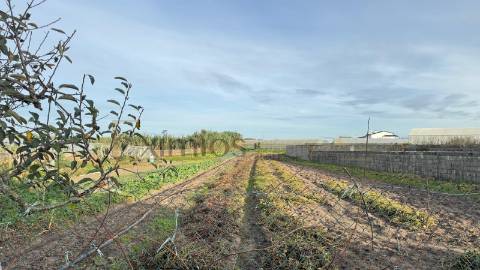 Moradia para restauro, em Aguçadoura, Póvoa de Varzim