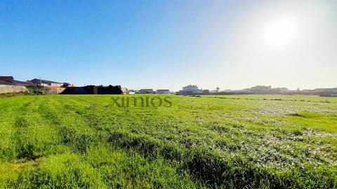 Moradia com Terreno de 5000 m2 para restauro em Lavra