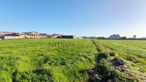 Moradia com Terreno de 5000 m2 para restauro em Lavra