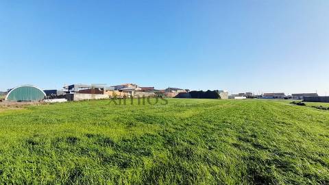 Moradia com Terreno de 5000 m2 para restauro em Lavra