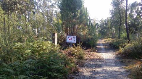 Terreno  Venda em Penamaior,Paços de Ferreira