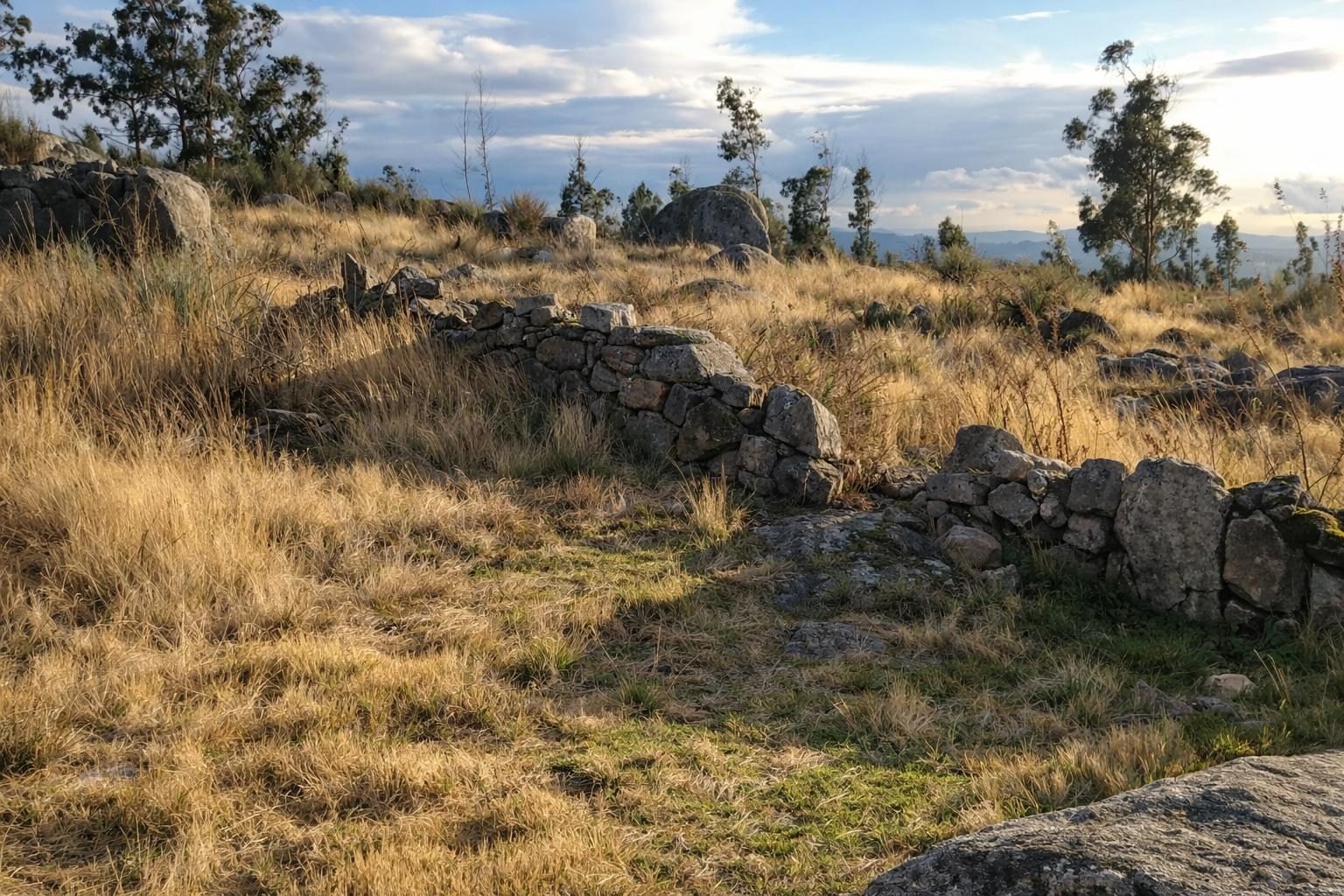 Terreno  Venda em Sanfins Lamoso Codessos,Paços de Ferreira