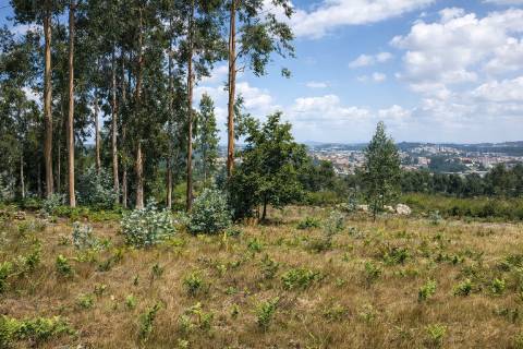 Terreno Para Construção  Venda em Penamaior,Paços de Ferreira