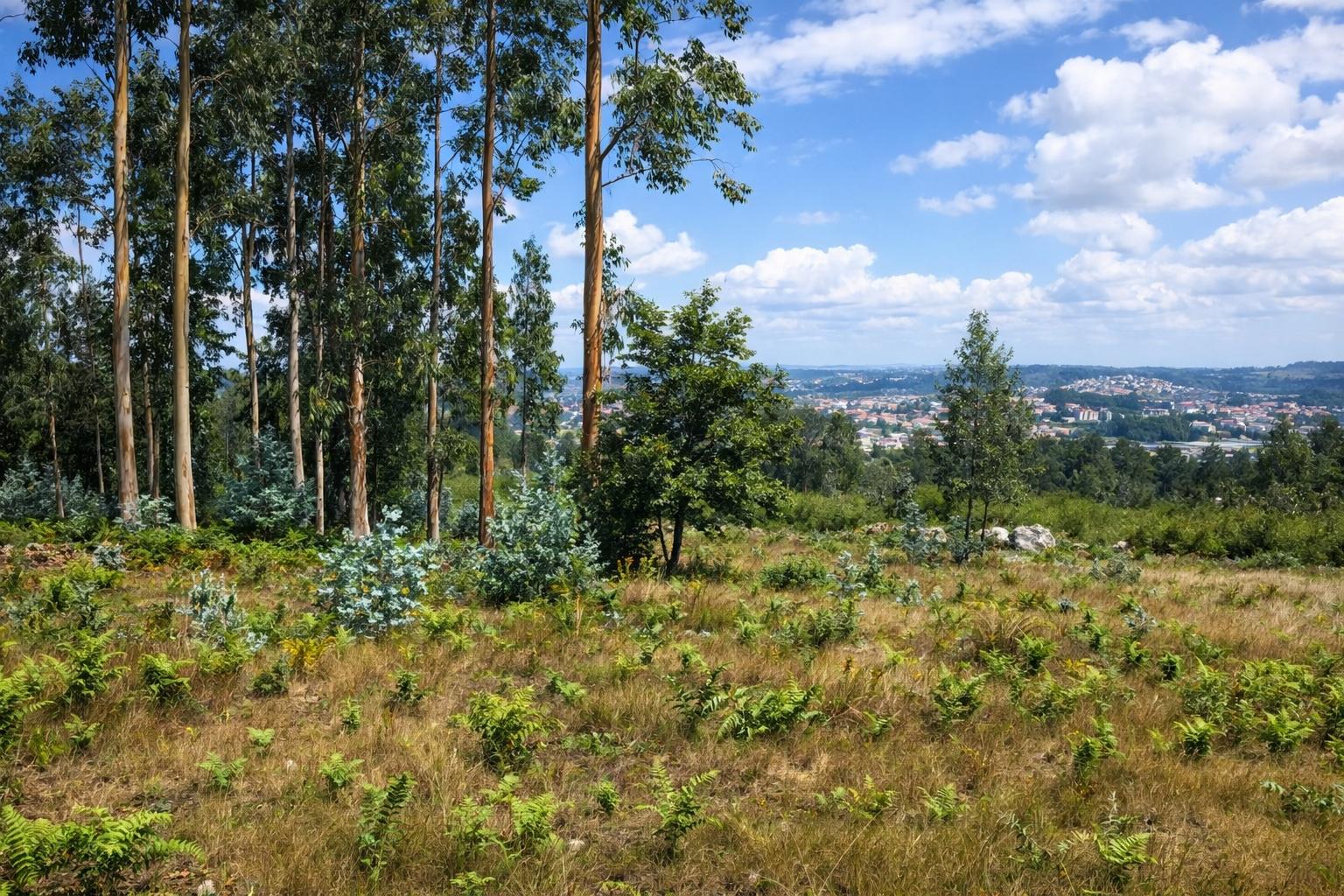 Terreno Para Construção  Venda em Penamaior,Paços de Ferreira