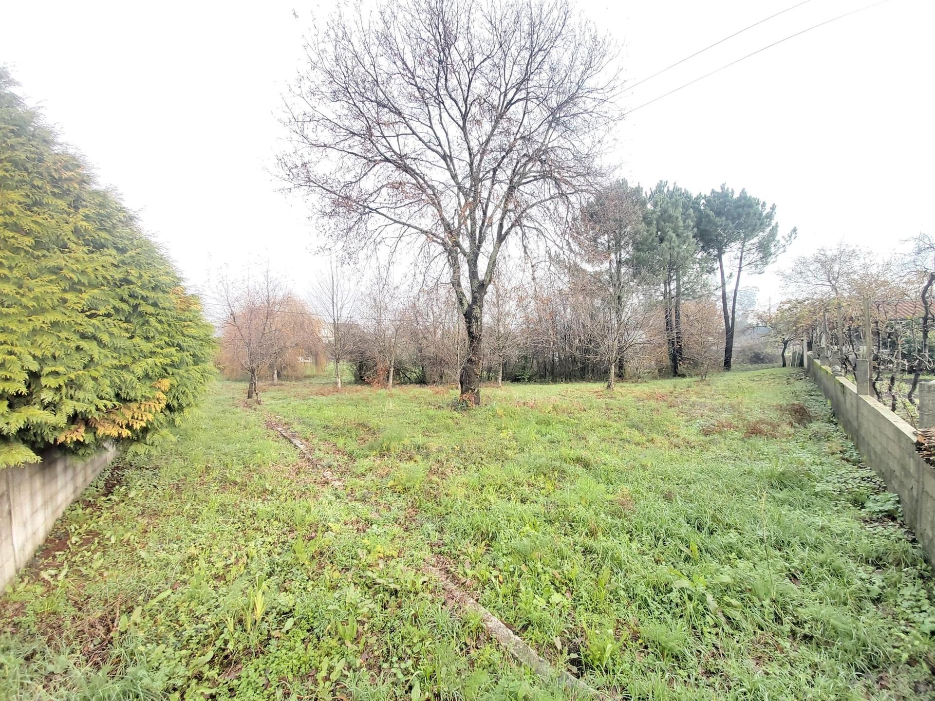 Terreno Para Construção  Venda em Frazão Arreigada,Paços de Ferreira
