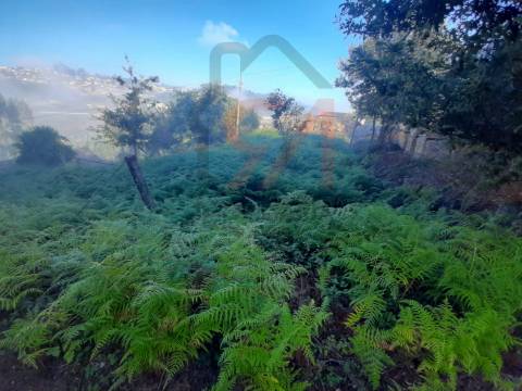 Terreno  Venda em Lustosa e Barrosas (Santo Estêvão),Lousada