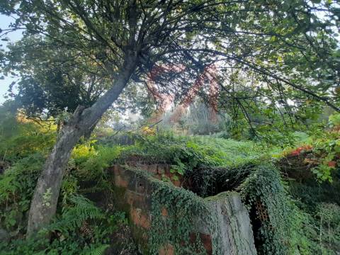 Terreno  Venda em Lustosa e Barrosas (Santo Estêvão),Lousada
