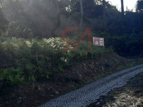 Terreno  Venda em Lustosa e Barrosas (Santo Estêvão),Lousada