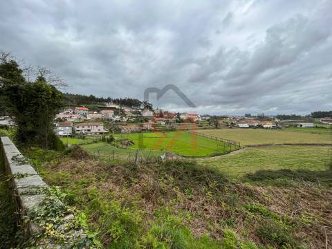 Quinta  Venda em Sanfins Lamoso Codessos,Paços de Ferreira