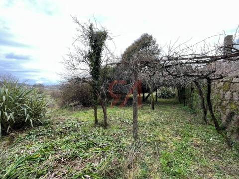 Quinta  Venda em Sanfins Lamoso Codessos,Paços de Ferreira