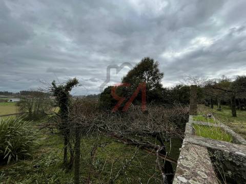 Quinta  Venda em Sanfins Lamoso Codessos,Paços de Ferreira