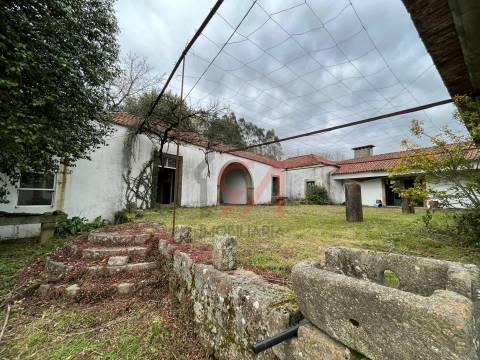 Quinta  Venda em Sanfins Lamoso Codessos,Paços de Ferreira