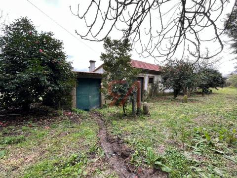 Quinta  Venda em Sanfins Lamoso Codessos,Paços de Ferreira