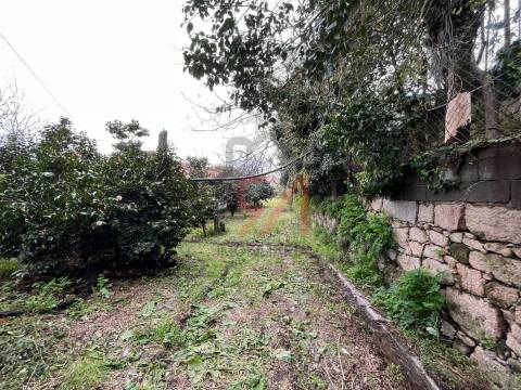 Quinta  Venda em Sanfins Lamoso Codessos,Paços de Ferreira