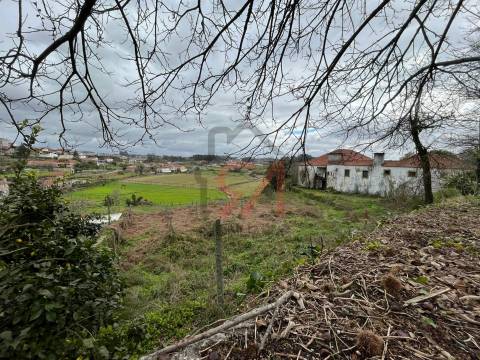 Quinta  Venda em Sanfins Lamoso Codessos,Paços de Ferreira