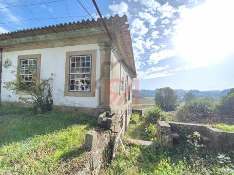 Quinta  Venda em Sanfins Lamoso Codessos,Paços de Ferreira