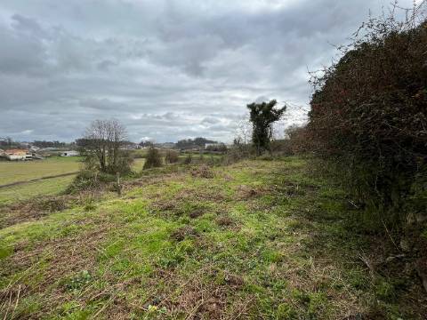 Quinta  Venda em Sanfins Lamoso Codessos,Paços de Ferreira