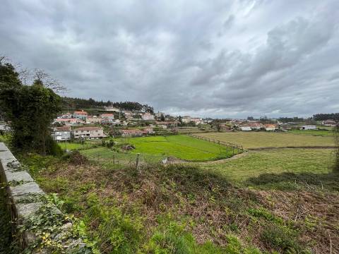 Quinta  Venda em Sanfins Lamoso Codessos,Paços de Ferreira