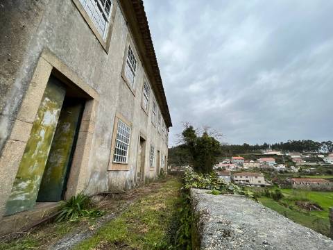 Quinta  Venda em Sanfins Lamoso Codessos,Paços de Ferreira