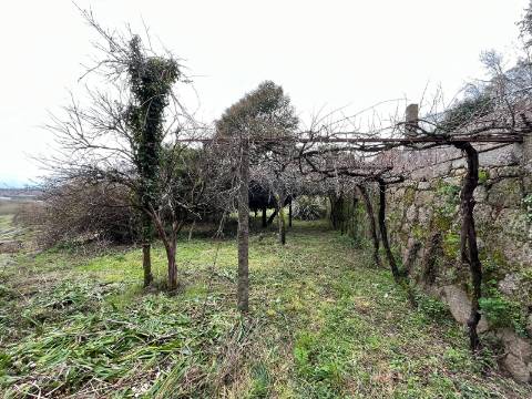 Quinta  Venda em Sanfins Lamoso Codessos,Paços de Ferreira