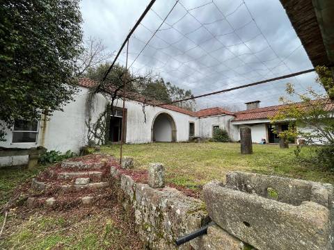 Quinta  Venda em Sanfins Lamoso Codessos,Paços de Ferreira