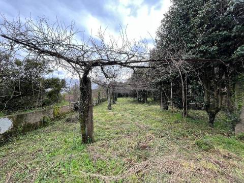 Quinta  Venda em Sanfins Lamoso Codessos,Paços de Ferreira