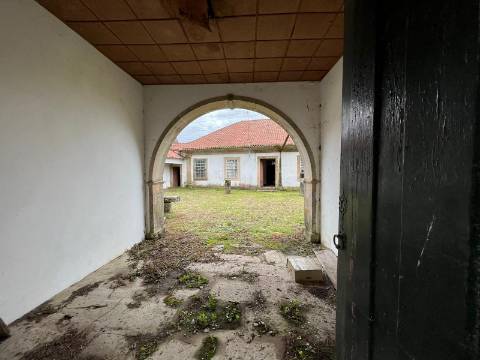 Quinta  Venda em Sanfins Lamoso Codessos,Paços de Ferreira